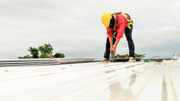 Best Steel Roofing  in Ashland, VA