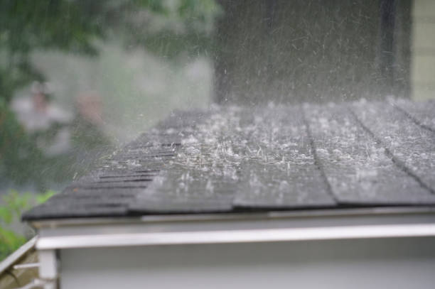 Best Solar Panel Roofing Installation  in Ashland, VA